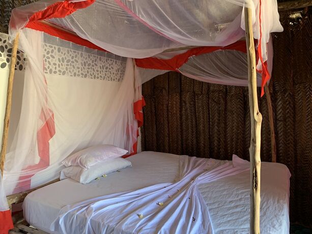 Imagen general del Hotel New Jambo Bungalows - Hostel. Foto 8