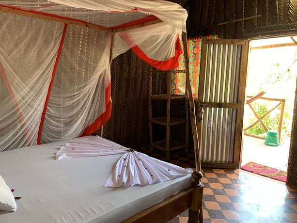 Imagen general del Hotel New Jambo Bungalows - Hostel. Foto 9