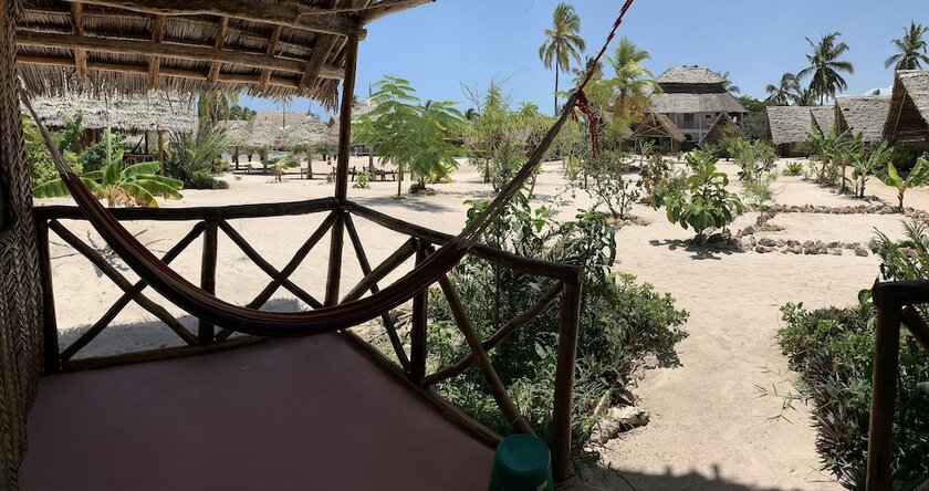 Imagen general del Hotel New Jambo Bungalows - Hostel. Foto 10