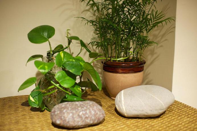 Imagen de la habitación del Hotel New Jhihben Hotel. Foto 15