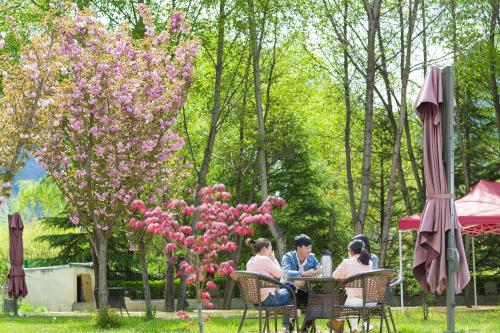 Imagen general del Hotel New Jiuzhai. Foto 16