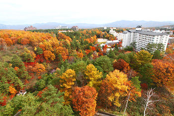 Imagen de la piscina del Hotel New Koyo, Kusatsu. Foto 9
