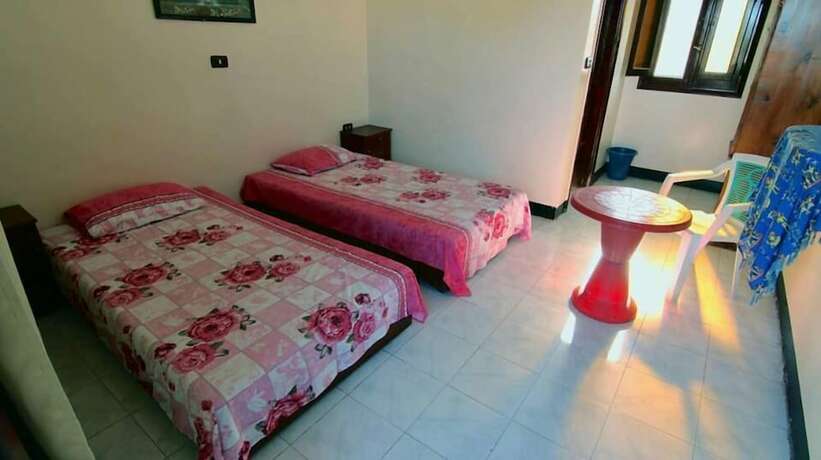 Imagen general del Hotel New Life Camp. Foto 1