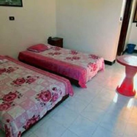 Imagen general del Hotel New Life Camp. Foto 3