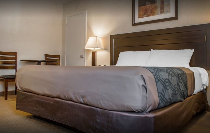 Imagen de la habitación del Hotel New Lodge. Foto 9