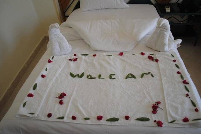 Imagen de la habitación del Hotel New Memnon. Foto 4