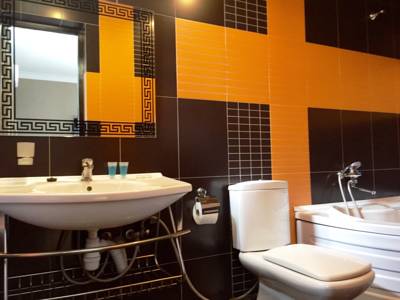 Imagen general del Hotel New Metekhi. Foto 2