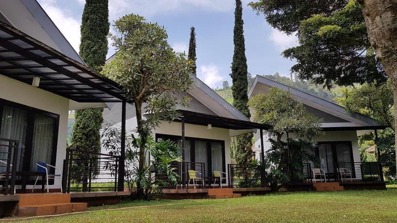 Imagen general del Hotel New Mountain Springs Hotel and Resort. Foto 5