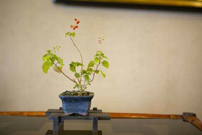 Imagen general del Hotel New Nishino. Foto 7