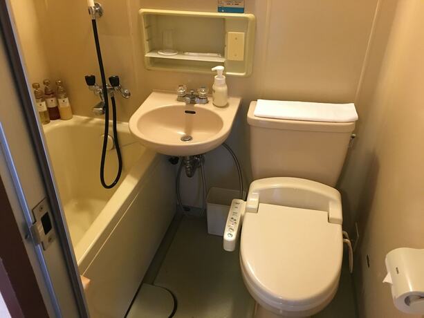 Imagen de la habitación del Hotel New Nishino. Foto 14