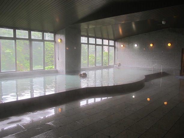 Imagen de la piscina del Hotel New Ohruri. Foto 19
