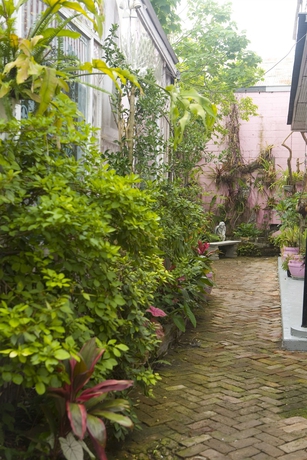 Imagen general del Hotel New Orleans Guest House. Foto 2