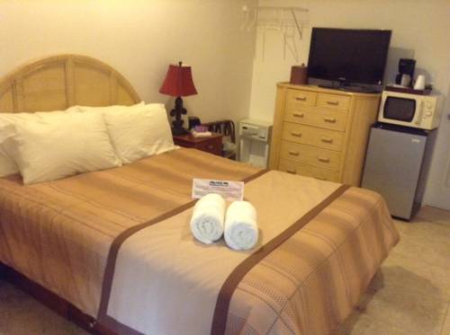 Imagen de la habitación del Hotel New Orleans House - Gay Male-only Guesthouse. Foto 14