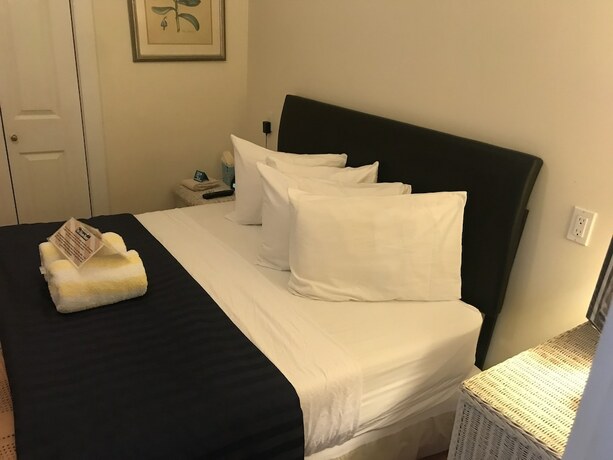 Imagen general del Hotel New Orleans House - Gay Men Adult Resort. Foto 5