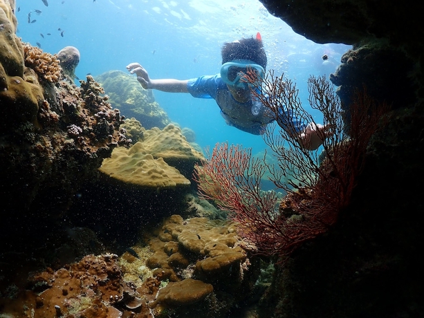 Imagen general del Hotel New Paradise Home Resort. Foto 3