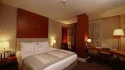 Imagen de la habitación del Hotel New Park Ankara. Foto 5