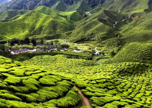 Imagen general del Hotel New Rawang. Foto 11