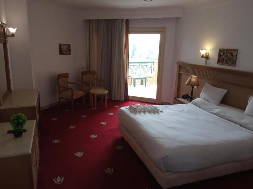 Imagen general del Hotel New Regency Pyramids View. Foto 3