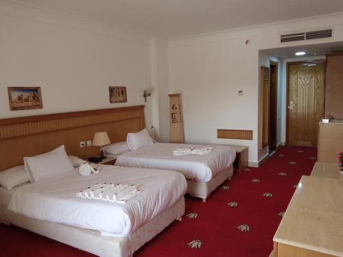 Imagen general del Hotel New Regency Pyramids View. Foto 7