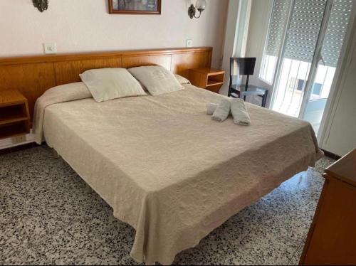 Imagen general del Hotel New Roser. Foto 2