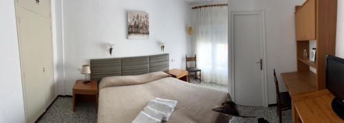 Imagen general del Hotel New Roser. Foto 12