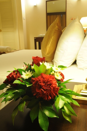 Imagen de la habitación del Hotel New Season. Foto 8
