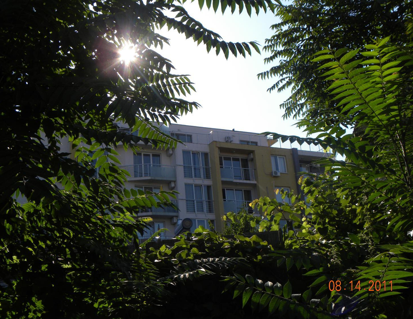 Imagen general del Hotel New Town Complex. Foto 22