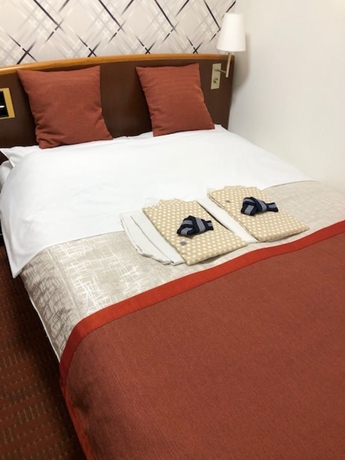 Imagen de la habitación del Hotel New Ueno. Foto 2