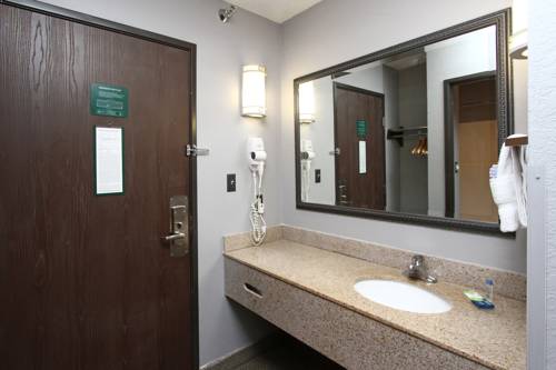 Imagen de la habitación del Hotel New Victorian Inn and Suites In Sioux City, Ia. Foto 14