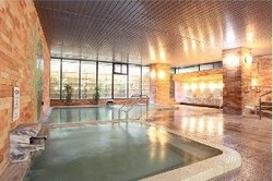 Imagen de los interiores del Hotel New Wel City Yugawara. Foto 5