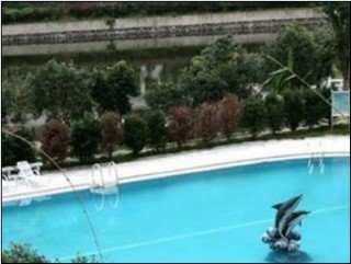 Imagen de la piscina del Hotel New West Street International. Foto 12