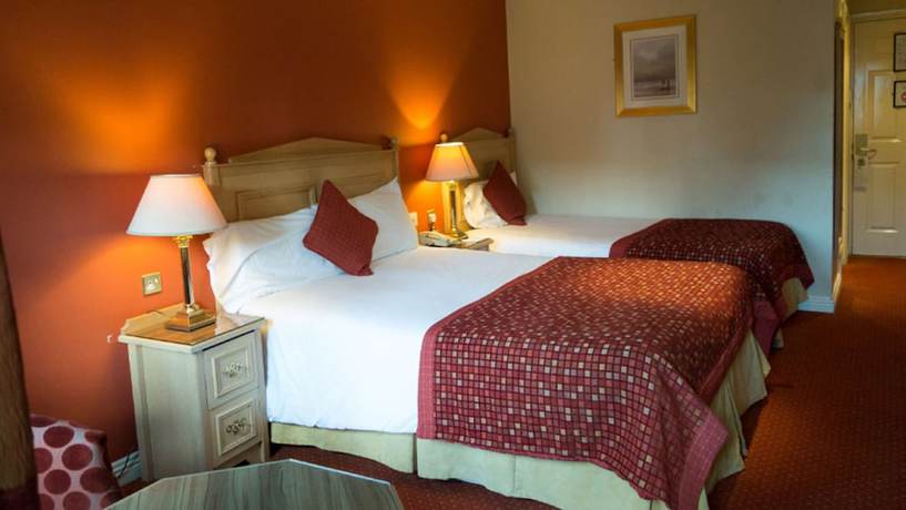 Imagen de la habitación del Hotel Newgrange. Foto 13