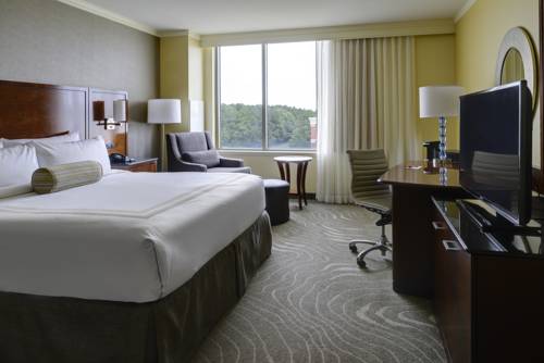 Imagen de la habitación del Hotel Newport News Marriott At City Center. Foto 9