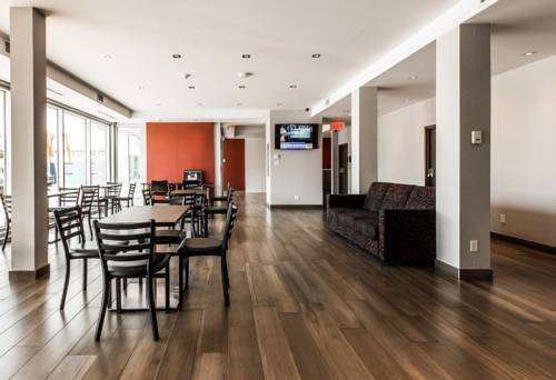 Imagen de la habitación del Hotel Newstar Montréal. Foto 2