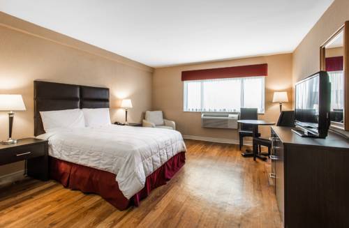 Imagen de la habitación del Hotel Newstar Montréal. Foto 4