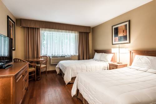 Imagen de la habitación del Hotel Newstar Montréal. Foto 6