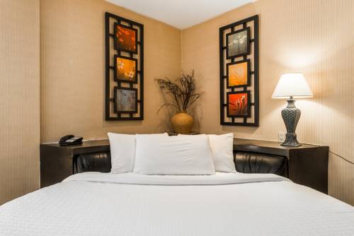 Imagen de la habitación del Hotel Newstar Montréal. Foto 11