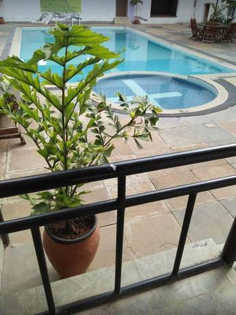 Imagen de la piscina del Hotel Newstead Naivasha. Foto 19