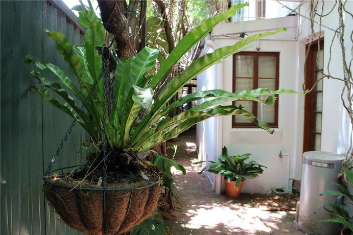 Imagen general del Hotel Newtown Cozy Stays. Foto 1