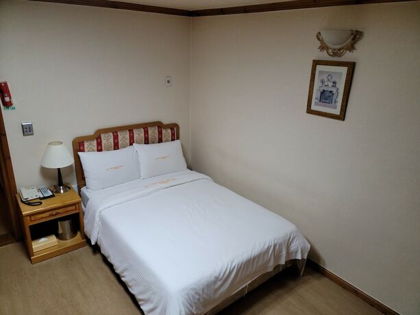 Imagen de la habitación del Hotel Newvera. Foto 29