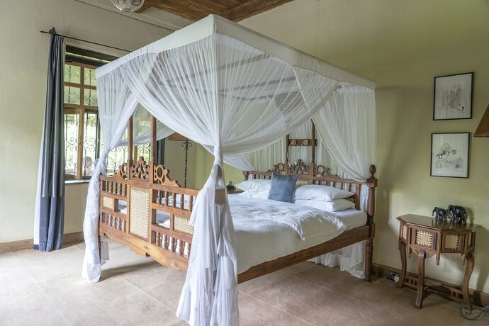 Imagen de la habitación del Hotel Ngare Sero Mountain Lodge. Foto 17