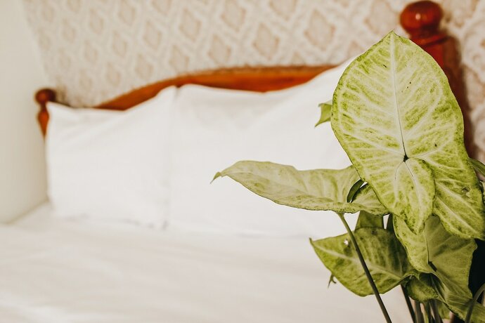 Imagen general del Hotel Ngoc Linh Motel. Foto 9