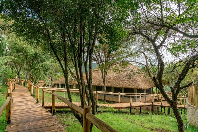 Imagen general del Hotel Ngorongoro Forest Tented Lodge. Foto 6