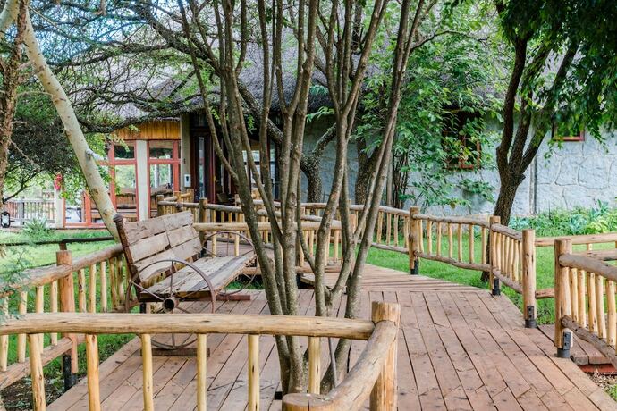 Imagen general del Hotel Ngorongoro Forest Tented Lodge. Foto 8