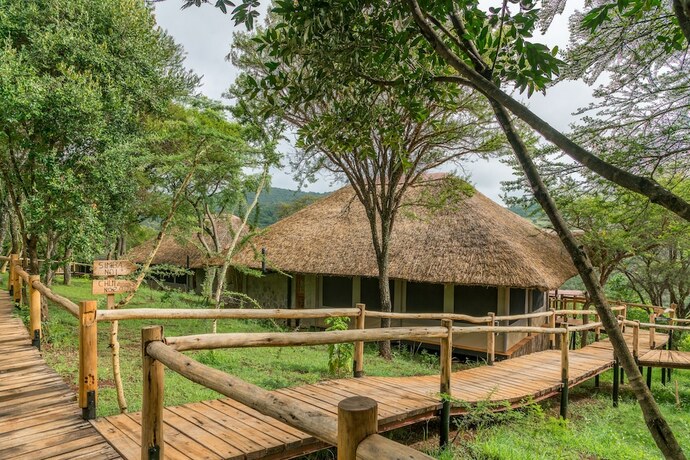 Imagen general del Hotel Ngorongoro Forest Tented Lodge. Foto 10