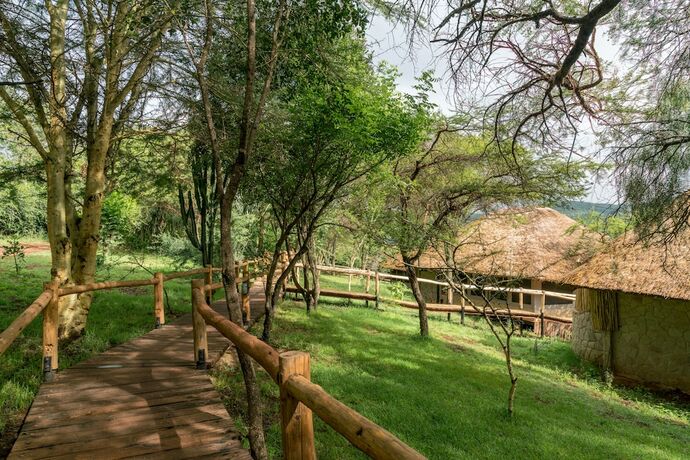 Imagen general del Hotel Ngorongoro Forest Tented Lodge. Foto 11