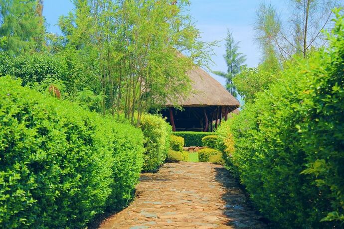 Imagen general del Hotel Nguge Hills Lodge and Wellness Retreat. Foto 2