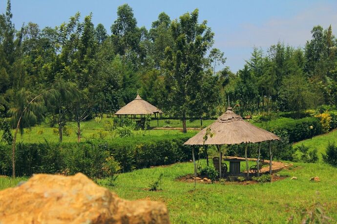 Imagen general del Hotel Nguge Hills Lodge and Wellness Retreat. Foto 5