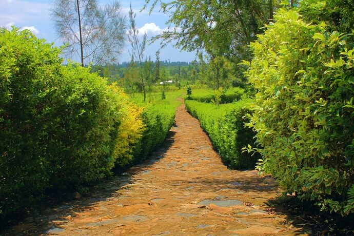 Imagen general del Hotel Nguge Hills Lodge and Wellness Retreat. Foto 7