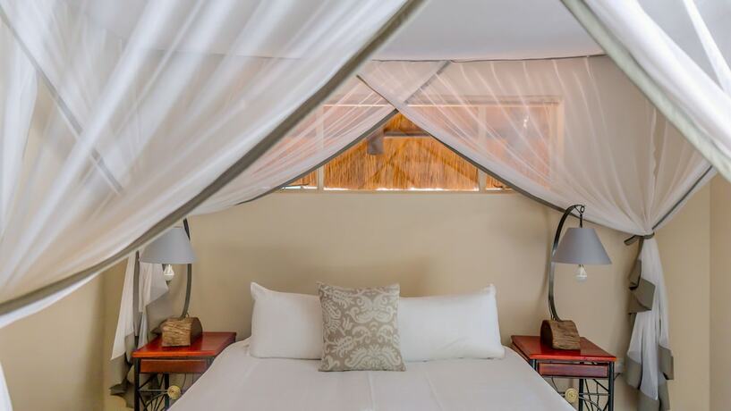 Imagen de la habitación del Hotel Nguni Lodge. Foto 13